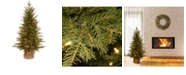 National Tree Company National Tree 4' "Feel Real" Nordic Spruce Small Tree in Burlap with 200 Clear Lights